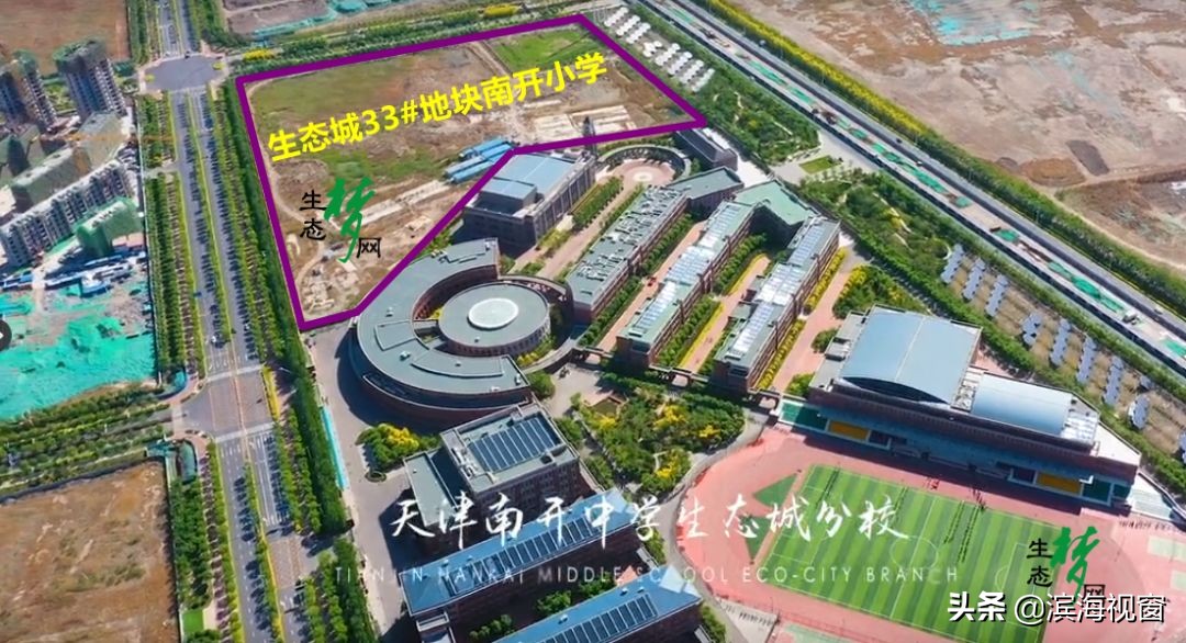 天津滨海新区重点小学一览表,天津滨海新区南开小学
