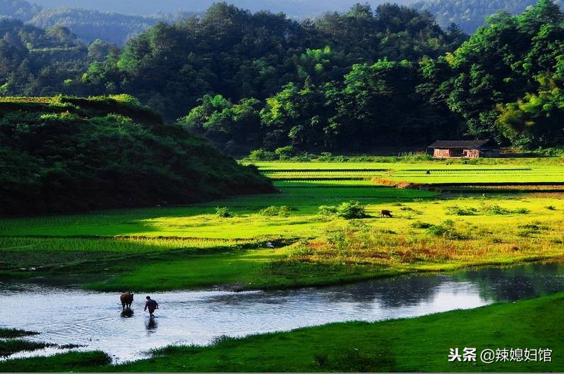 土家苗族自治州有什么特色,土家族和少数民族有什么区别