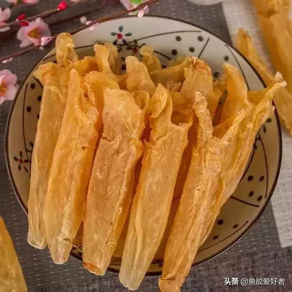 花胶中鳘鱼胶好不好,怎么选花胶鱼胶