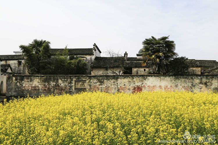 鍗拌薄姹潙,澶у簷姹潙