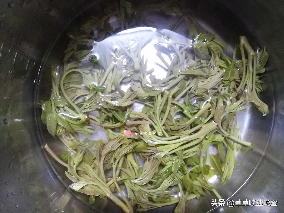 香椿怎么吃才不会有异味,亚硝酸盐和硝酸盐香椿中都有吗