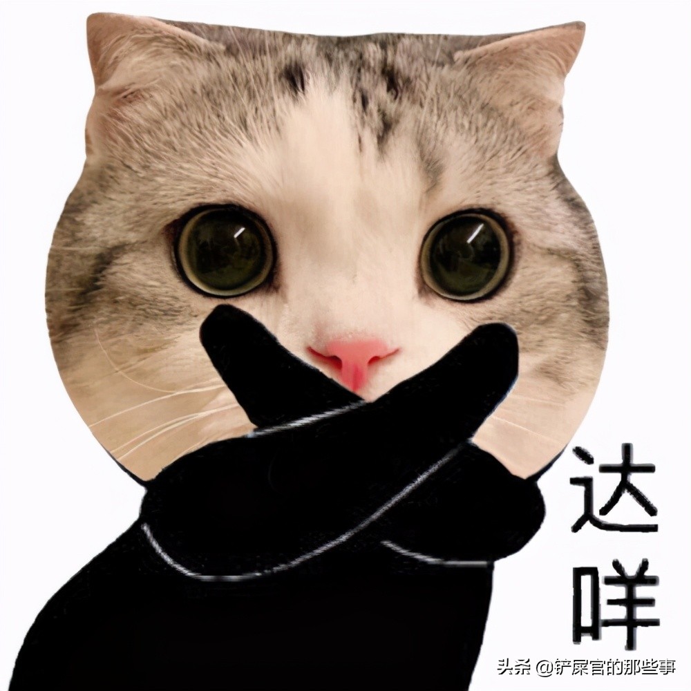 猫咪来大姨妈,猫咪来大姨妈是什么颜色