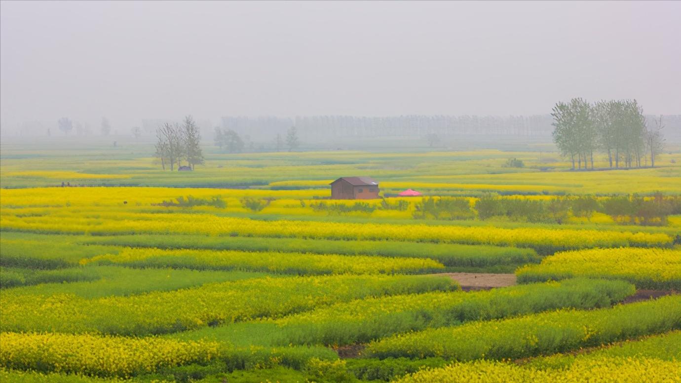 华东江苏篇,浅谈全国各省份