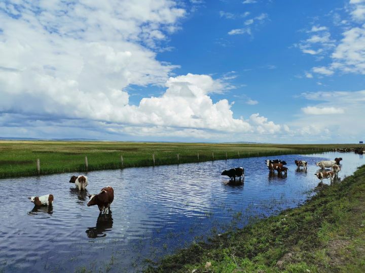 朵妈和朵朵出国,朵妈朵朵