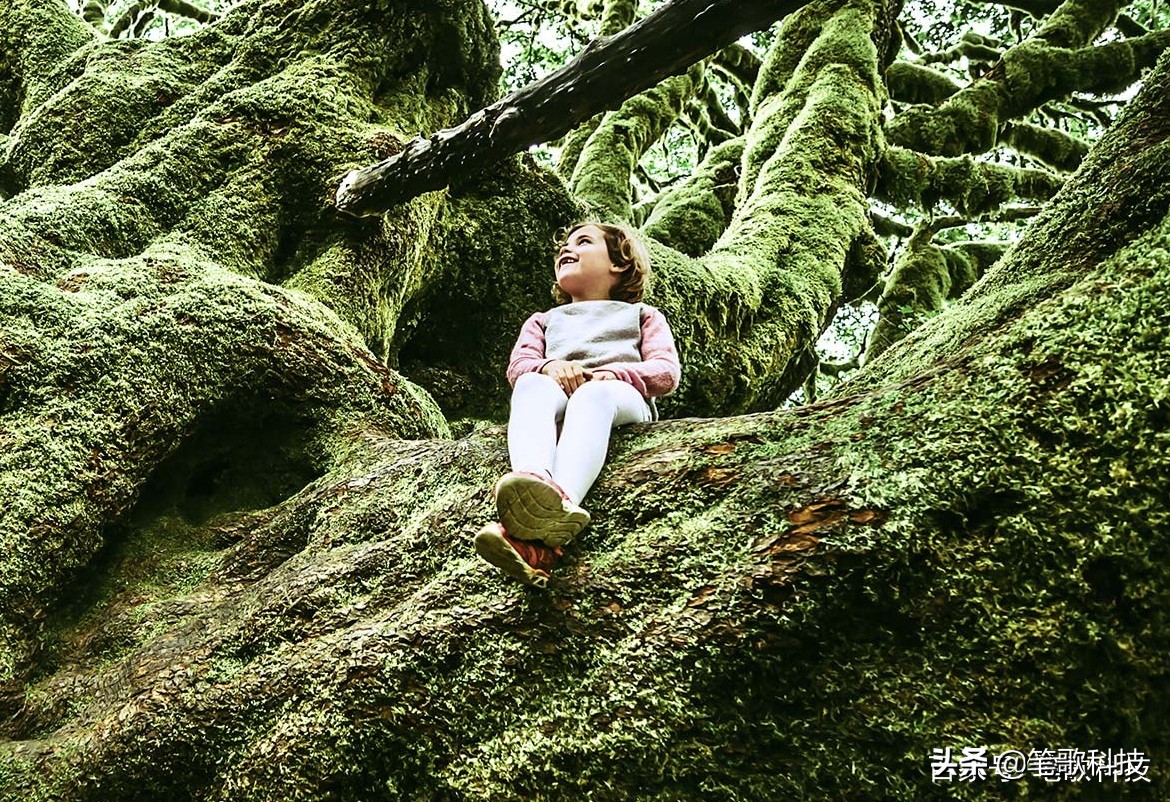 三星superAMOLED屏,三星superamoled屏幕排列