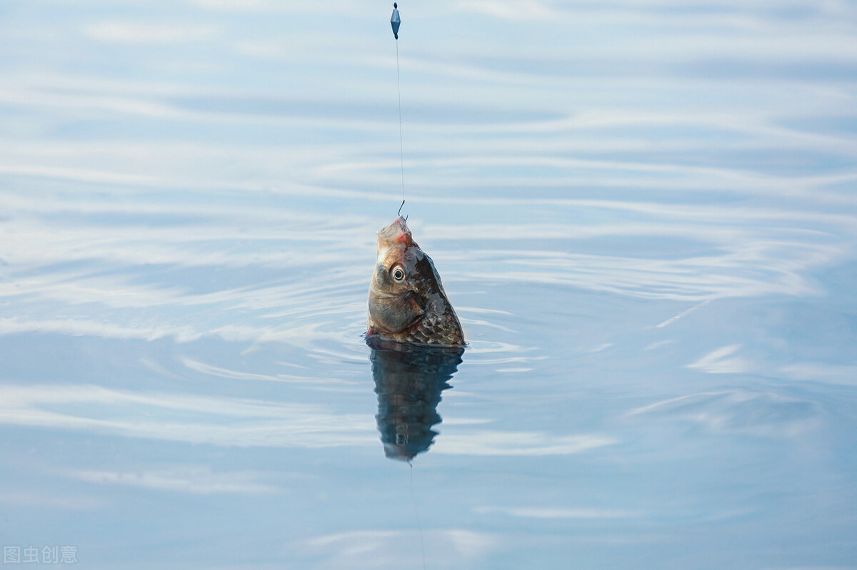 野钓鲫鱼绝密技巧大全,野钓钓鲫鱼技巧详解全攻略