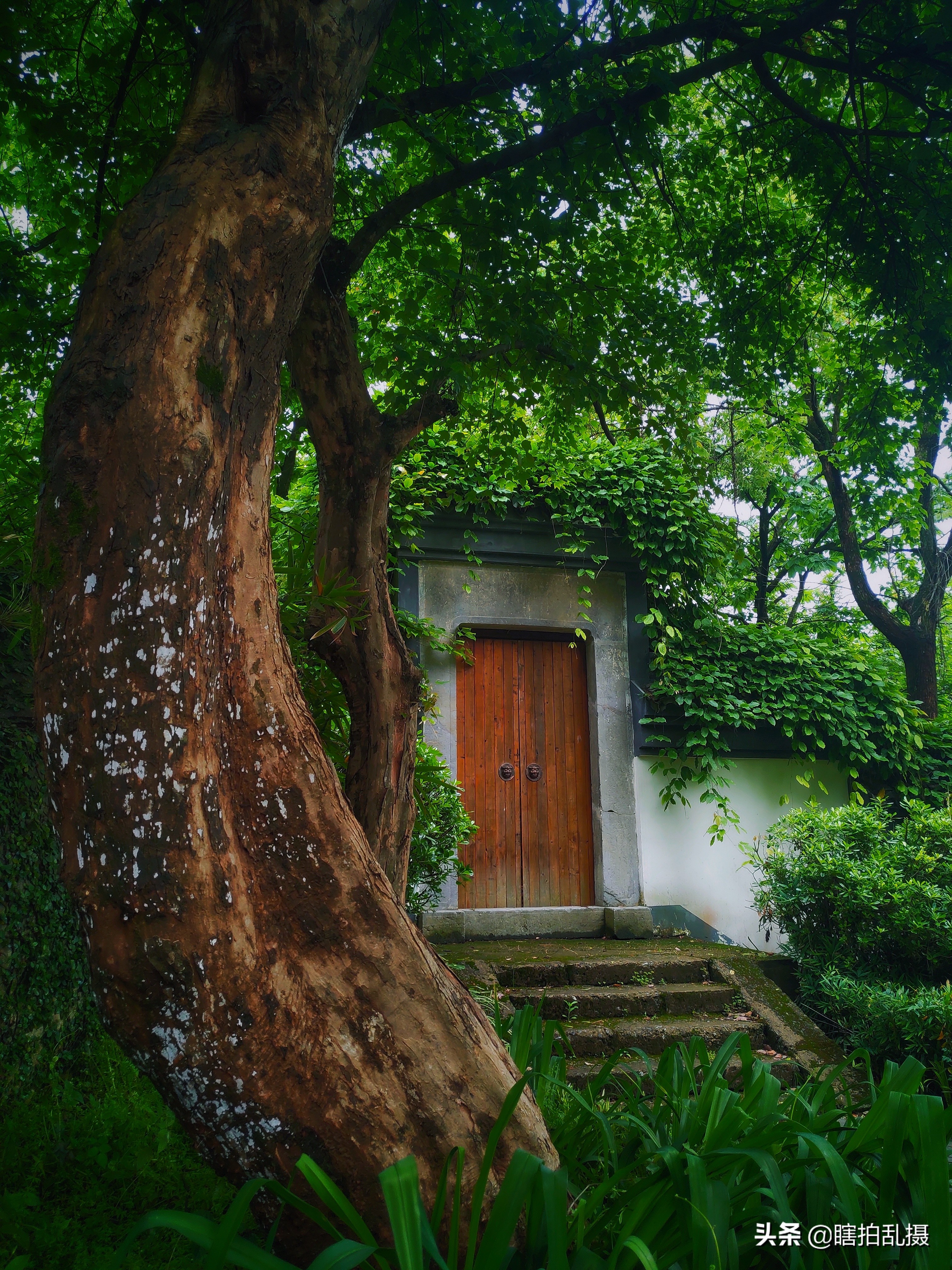 我的摄影器材大集合,最新入门单反相机推荐