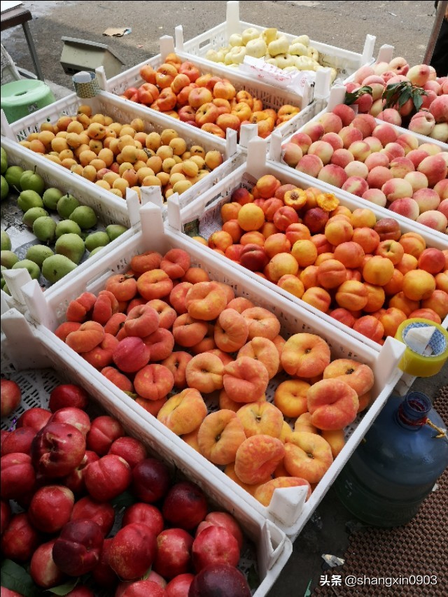 娴烽槼纰ф鍥紨鍞变細,娴烽槼涓佸瓧婀剧ⅶ妗傚洯