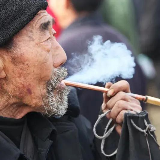 山西老农的小兰花烟,怎么买到山西晋北小兰花旱烟