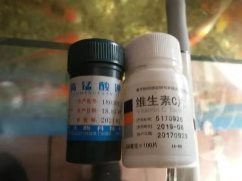 鱼缸内放高锰酸钾对鱼有没有伤害,给鱼缸里滴高锰酸钾