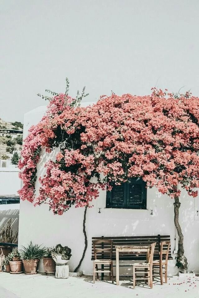 让情绪流动起来,才是“减龄”的密钥