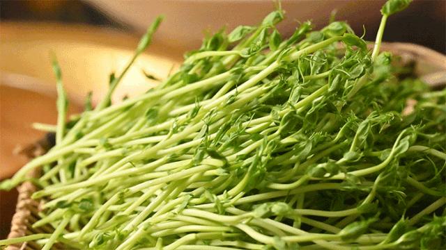 轰动火锅界的鲜货模式，老板放话：不新鲜就退货