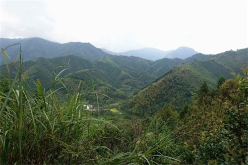 何香凝与抗日战争中的仲恺农工学校