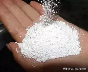 蟑螂成灾教你有效的灭蟑螂,用洋葱灭蟑螂最有效的方法