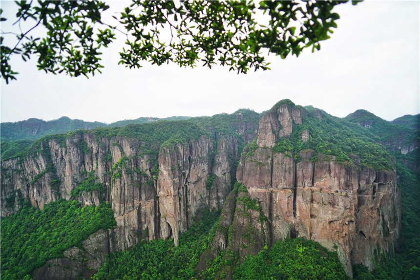 浙江有一个神奇山,浙江山里蝌蚪