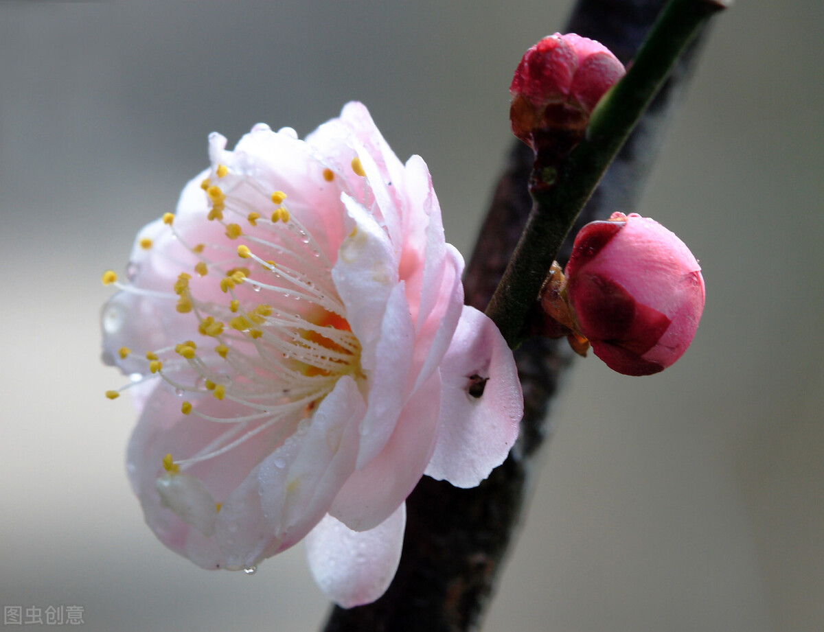 家乡的稀饭,家乡的粥一直都是熟悉的味道