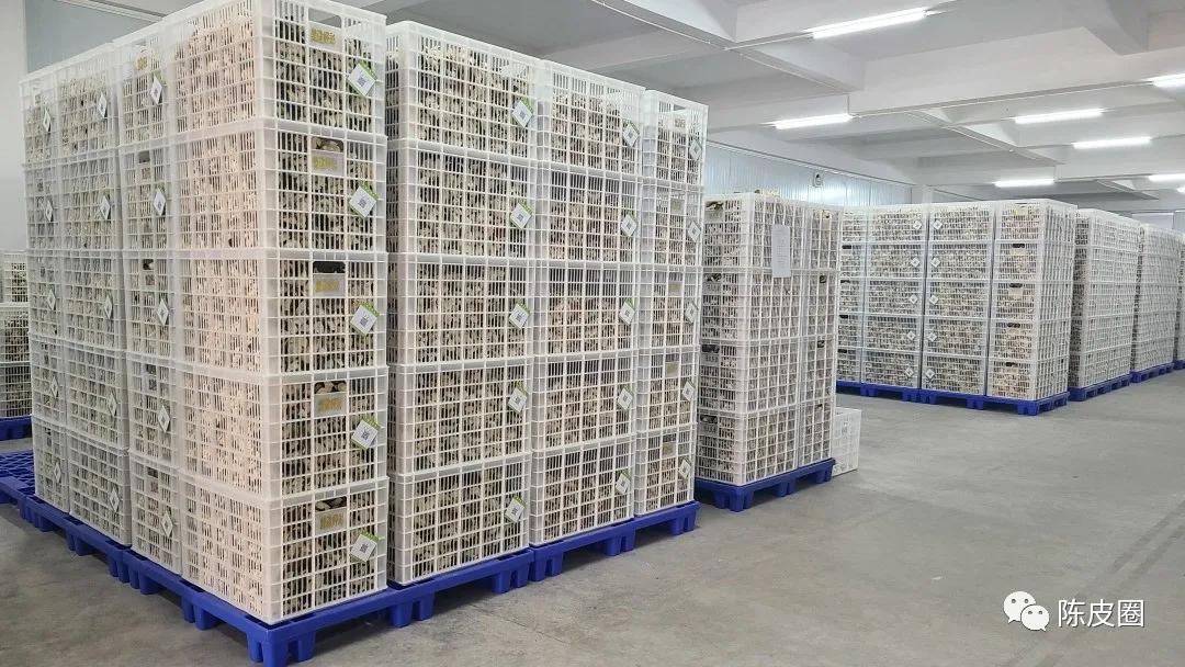 陈皮染色造假到底是添加什么,新会陈皮造假大揭秘