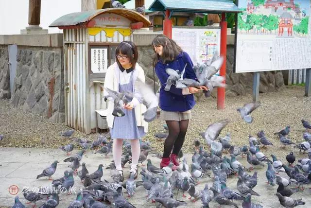 在东京京都之间,藏着一座日本领先且出产战国名将的大城市