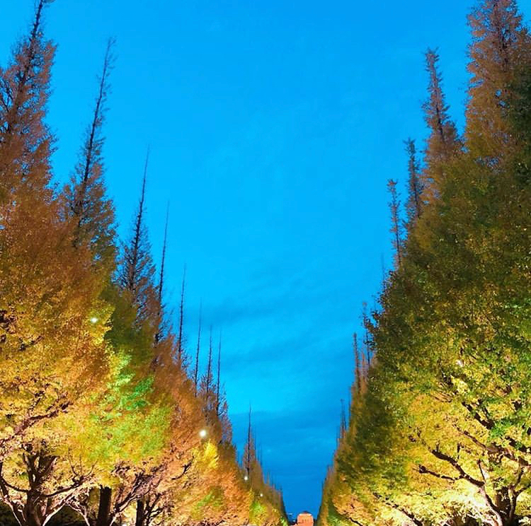 年末大扫除必备清单,年末大扫除日本