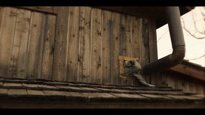 可怕的恶犬电影,伤害小狗电影