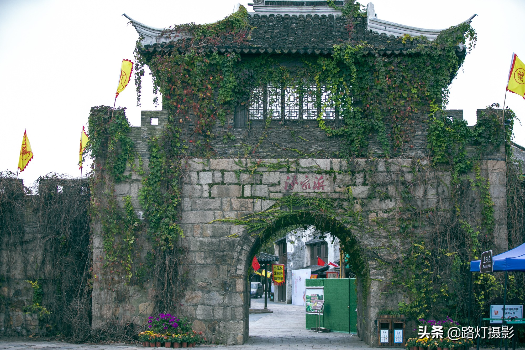 沙家浜江南美景,常熟芦苇荡螃蟹