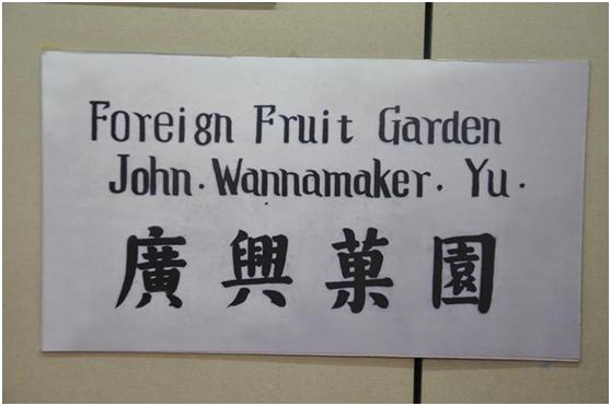 福山大樱桃排名第一名,福山大樱桃哪家最正宗