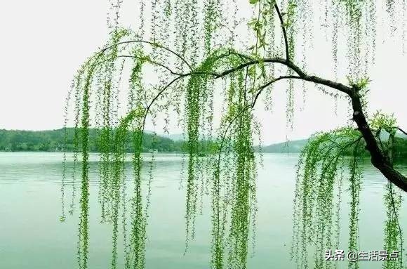 宅家期间你解锁了哪些新技能,宅家三个月后感受