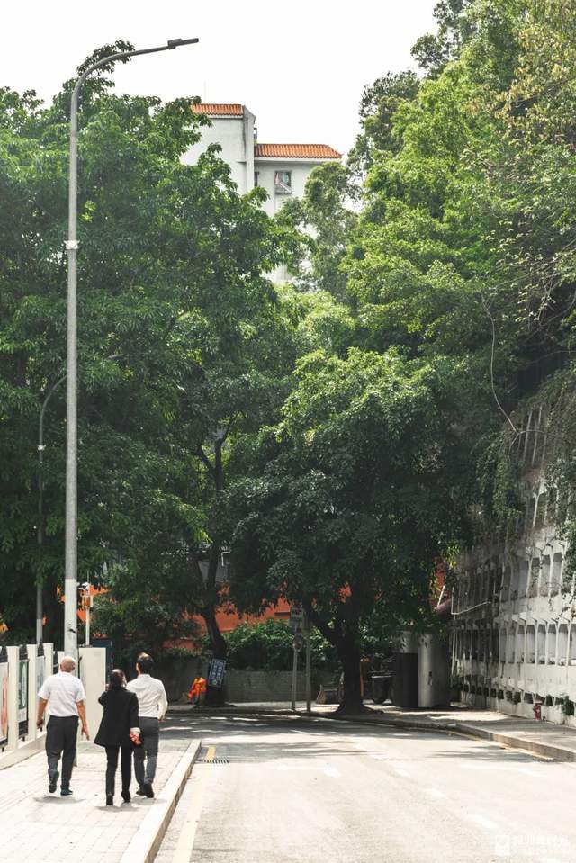 罗湖区莲塘有什么好玩的,罗湖莲塘风景