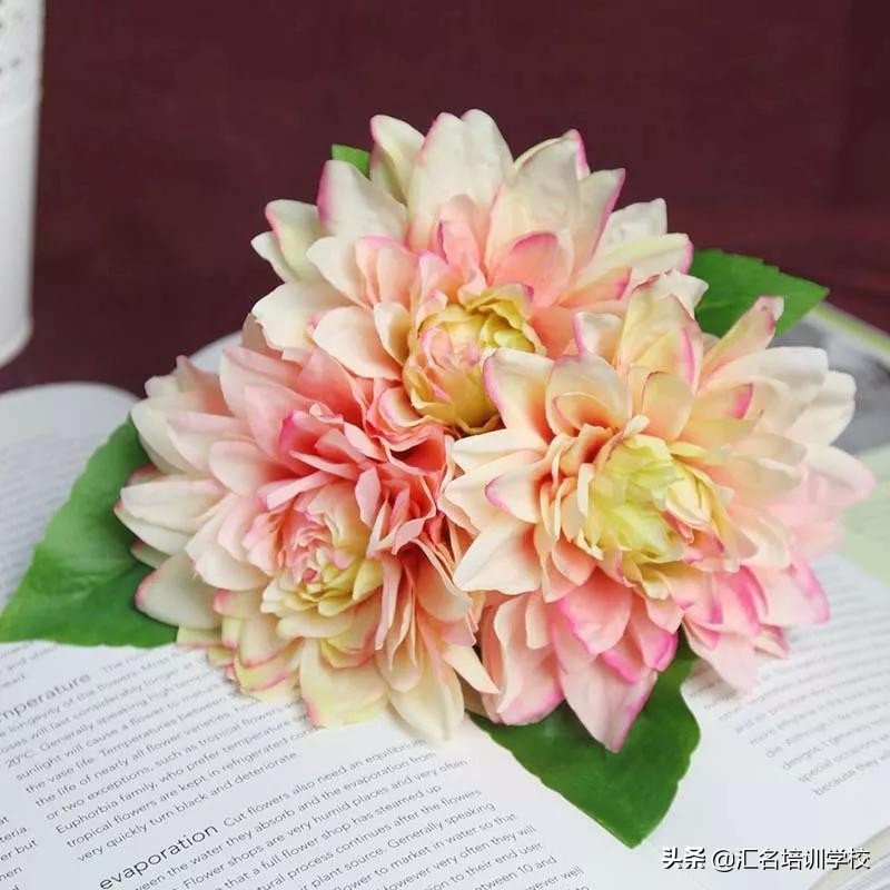 花艺十六种手法,流行花艺简单教学