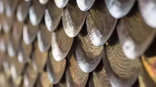 49岁大叔建石头房,50岁大叔花了2800娶个媳妇