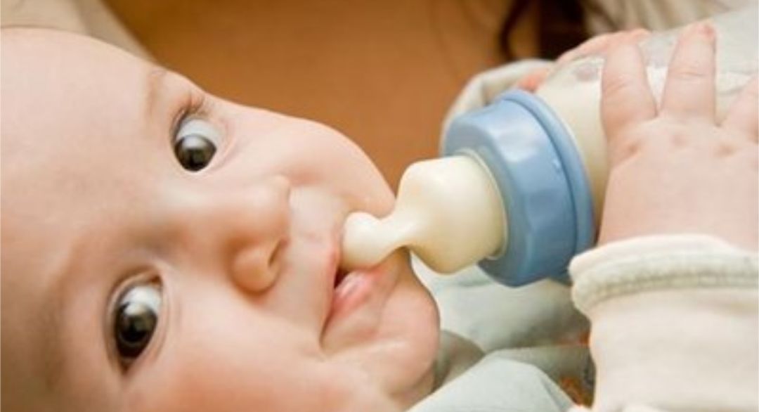 断奶成功的经验和方法,断奶的问题