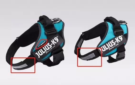 靠抄袭成功的例子,靠抄袭得了奖学金