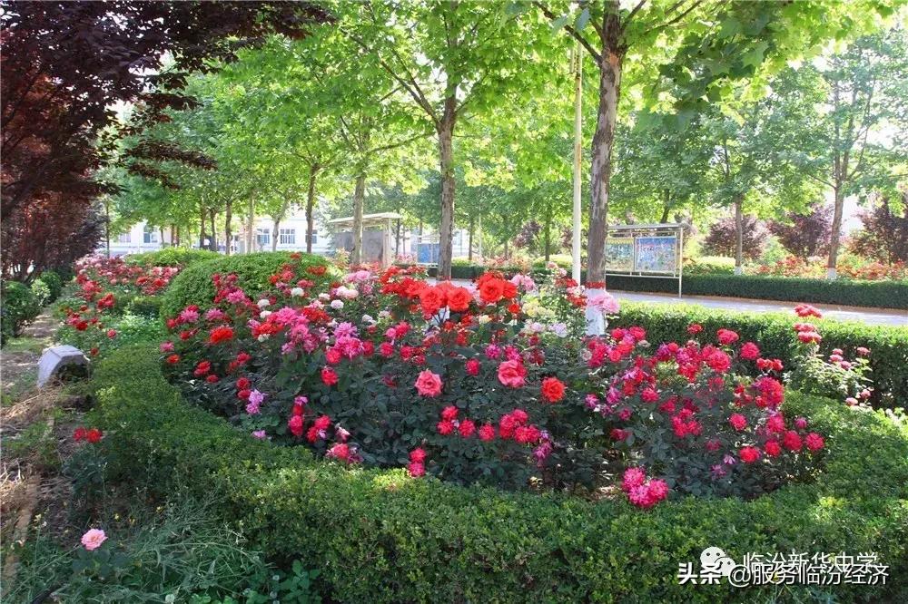 临汾新华中心招聘,新华保险招聘底薪10000