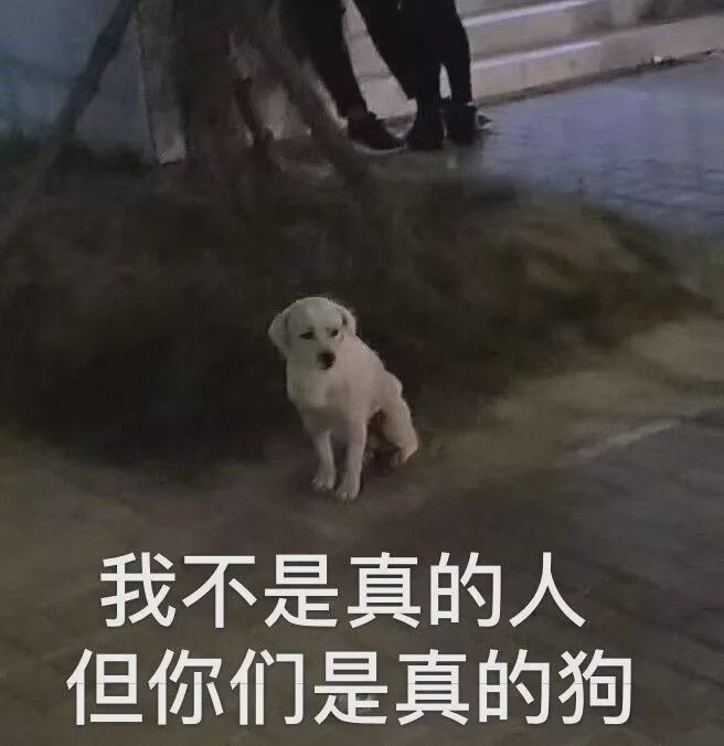 王小琴事件,王小琴后来怎么样了