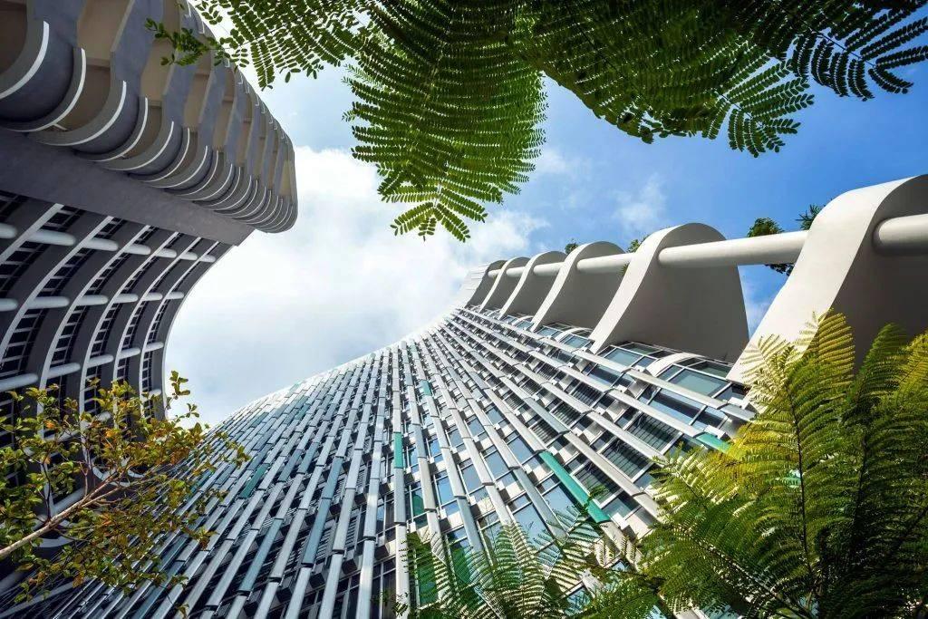 新加坡私立医院排名,新加坡私立医院