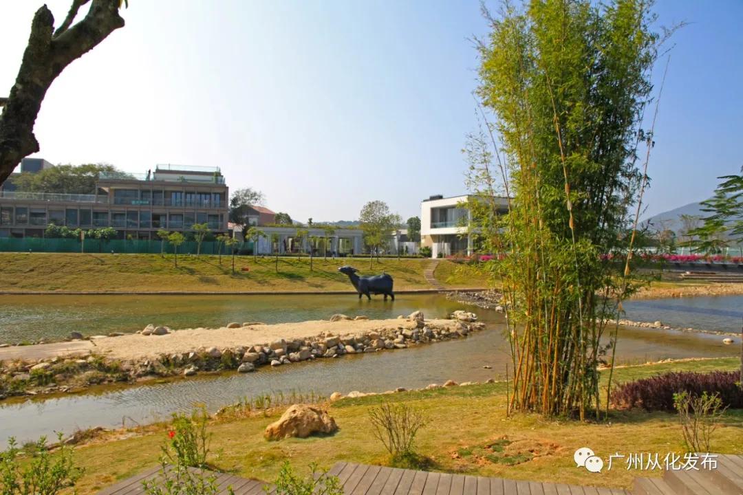 这么美的地方你真的去过吗,这么美的地方简直是人间仙境