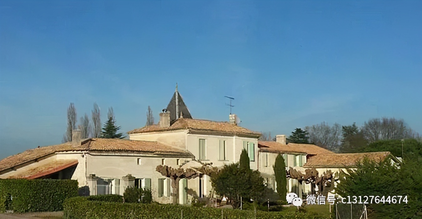 赵薇酒庄一共有多少面积,如何评价赵薇的法国酒庄