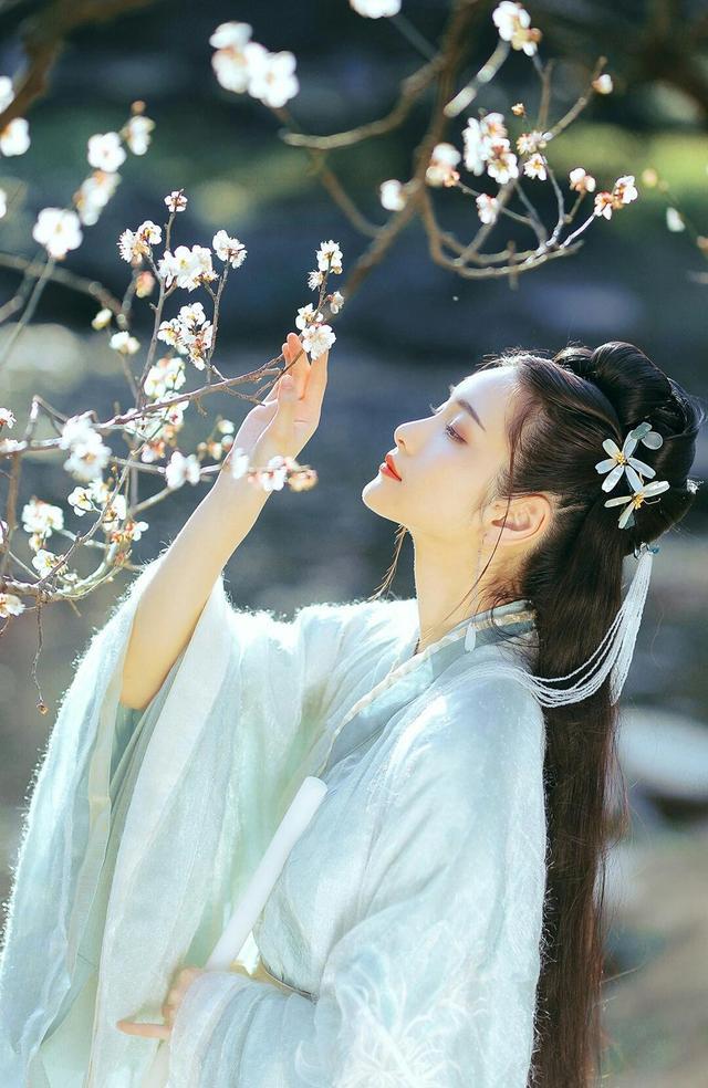 酒泉子诗词全集,酒泉子诗词全文