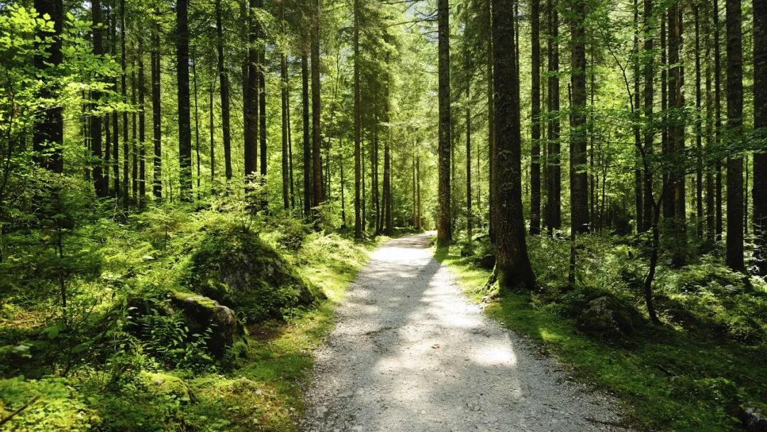 超高清电脑壁纸横屏,有哪些超清晰的电脑壁纸