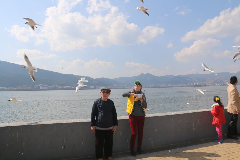 经典的自驾游七日游,66岁老人自驾游最新视频