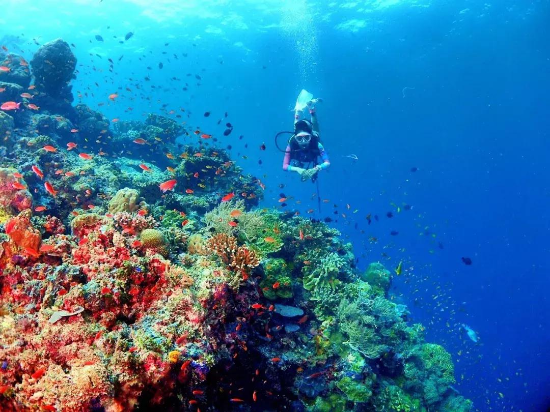 东南亚最适合旅游的地方有哪些,东南亚适合旅游的地方排名