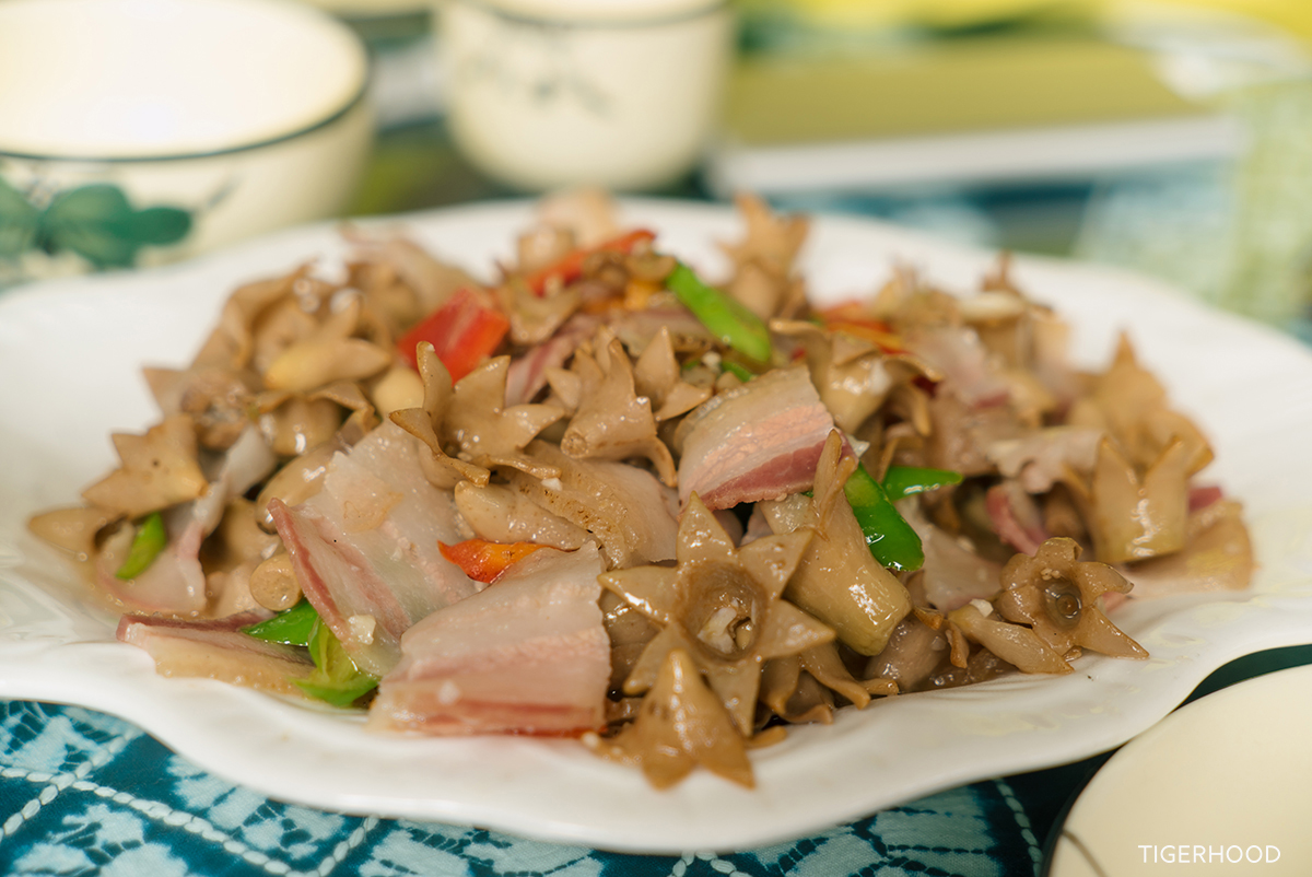 太格有物怎么样,太格有物