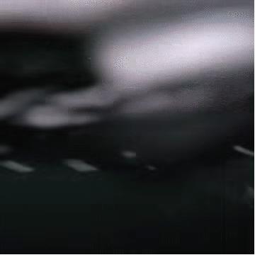 曾标榜健康的进口海鲜，幕后养殖曝光，堪比垃圾食品（菲李漫画）