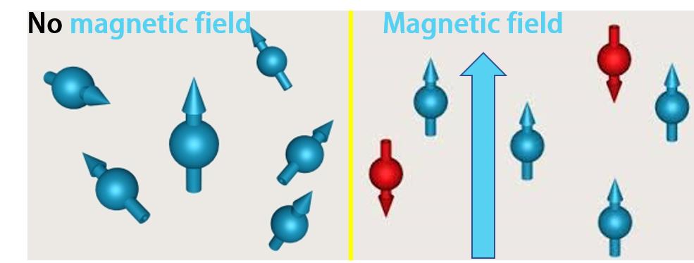 磁共振怎么看大脑基底节区和丘脑,脑核磁能不能看清楚骨头