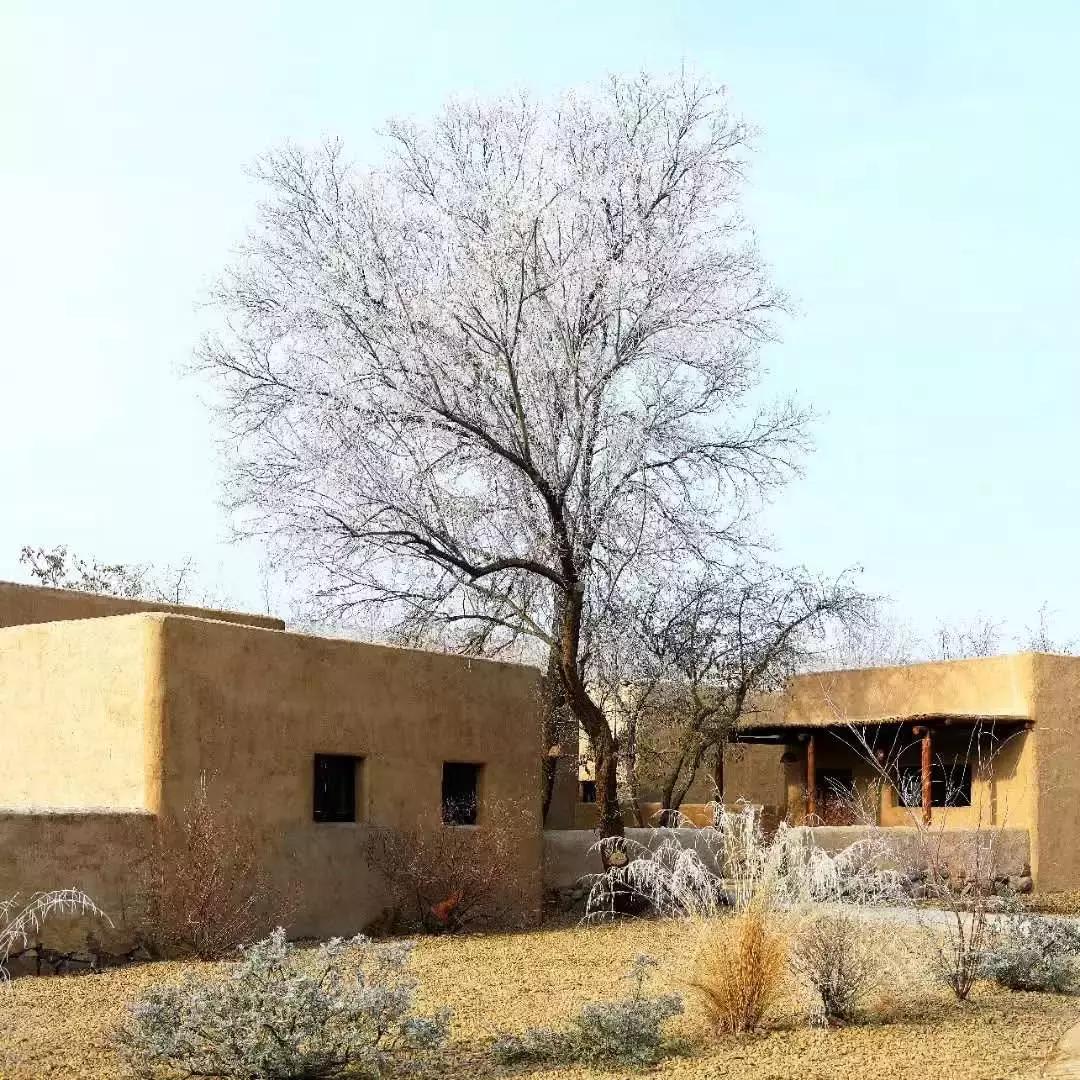 黄河宿集民宿旅游攻略,宁夏中卫宿集民宿酒店