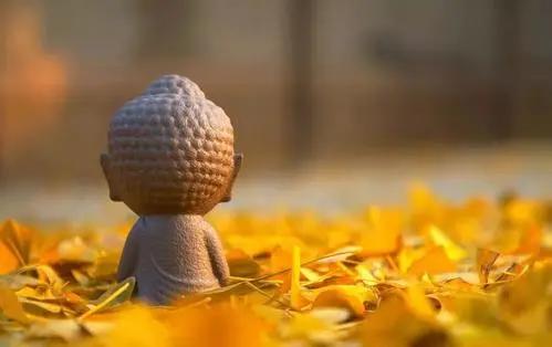 如何修行,如何修行入门