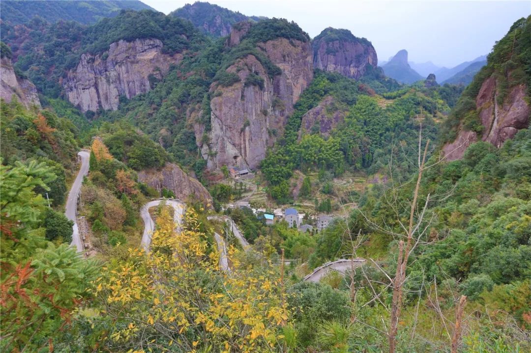 惊艳的一处桃源,乐清秘境原始森林