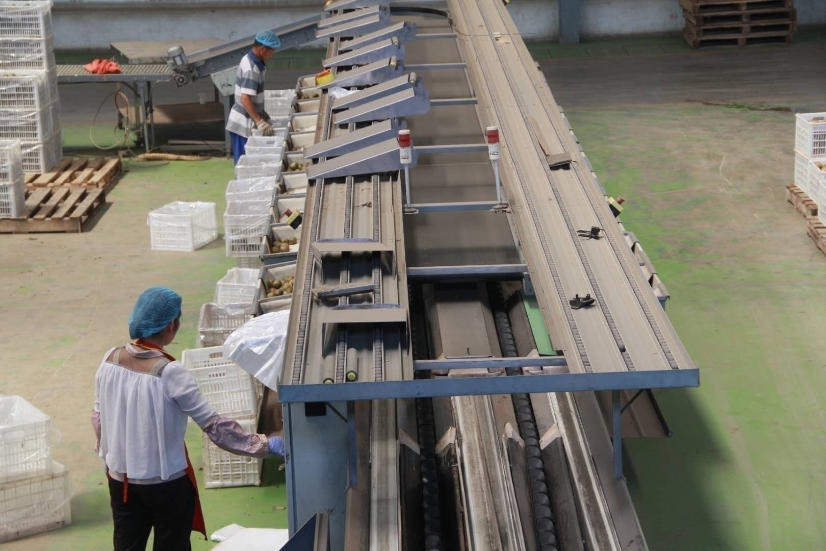 眉县猕猴桃电商企业,眉县国家级猕猴桃产业园物流