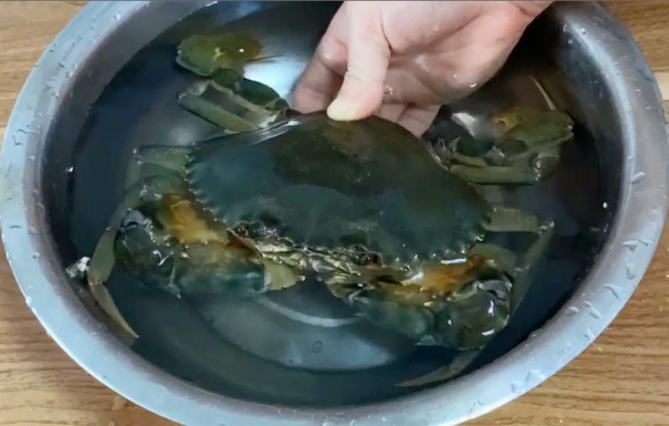 螃蟹怎么放冰箱保存最新,螃蟹怎么放冰箱保存好一点