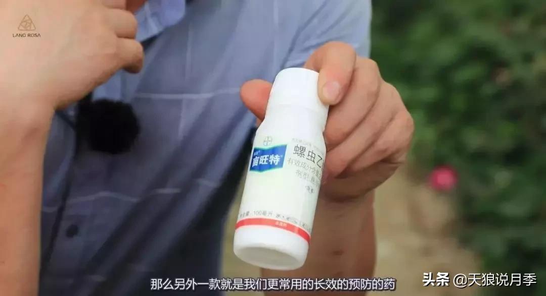 史上最详细的“红蜘蛛”防治攻略三部曲（对应三期视频）